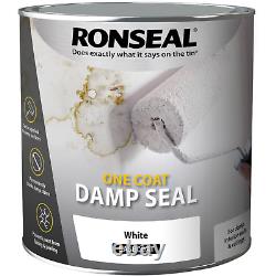 Damp Seal Paint For Interior Walls Ceiling Ronseal One Coat 2.5 Litre White NEW