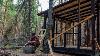 House Building In The Woods Off Grid House