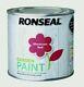 Ronseal Outdoor Garden Paint For Exterior Wood Metal Stone Brick 750ml