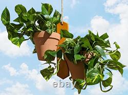Porte-plante suspendu en bois pour plantes en briques Beetle - Utilisation intérieure ou extérieure